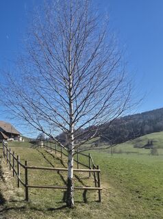 Foto von Thomi W entlang der Tour