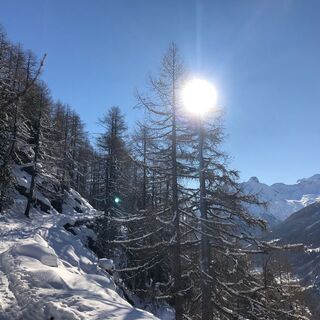 Auf dem Trail mit Blick zum Allalin