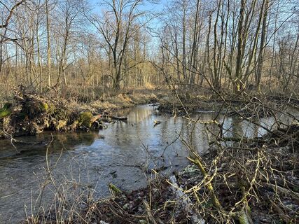 Fotografie z Babs Holz na trase