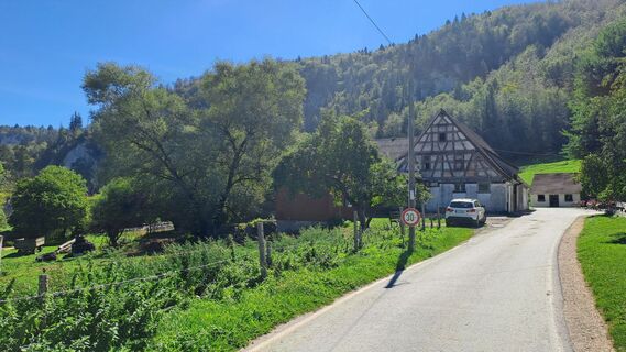 Foto de Plaimer a lo largo del recorrido