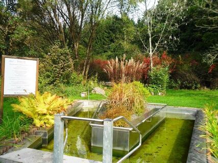 Wassertretbecken