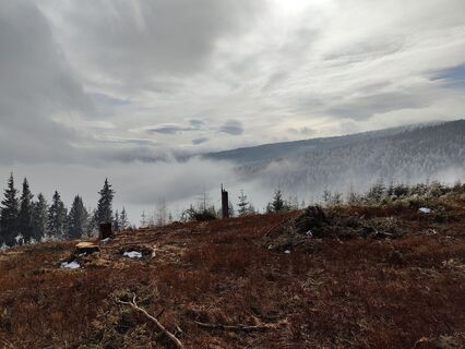 Fotografija s spletne strani Lena Eder na poti
