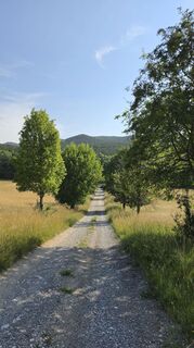 Fotografia z fschwarzenberger na trase