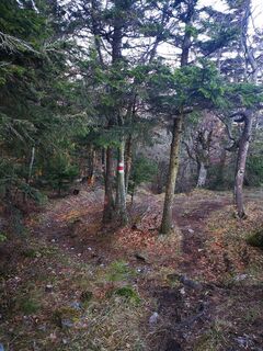 Foto de 3d63 ru^^n3r a lo largo del recorrido