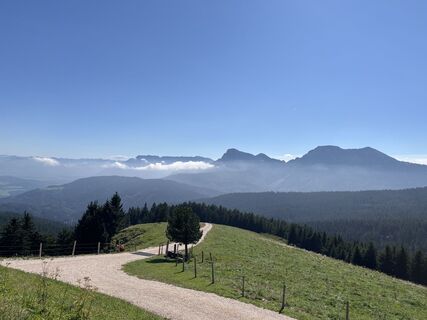 Teisendorf_Stoisseralm+Inzeller Höhe