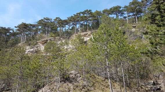 Fotografia z Bernard na trase