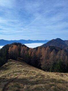 Fotografija s spletne strani Dagmar Hofer na poti