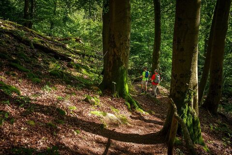 Wanderung auf der Weiselberg Gipfeltour