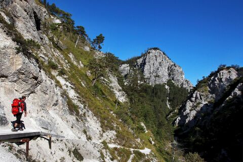 Auf Wanderung durch die Ötschergräben