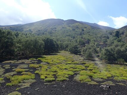 Zdjęcie z schenkeli wzdłuż trasy