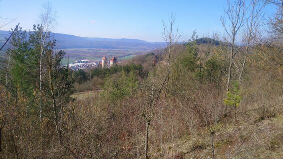 Foto von Betzenbergfex entlang der Tour