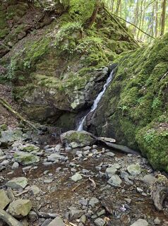 Photo de nordbergschnecke le long du parcours