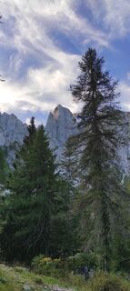 Photo de Michele Goffi le long du parcours