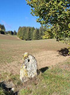 Foto von Erika Steinkellner entlang der Tour