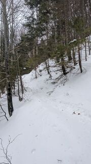 Photo de Stubi le long du parcours