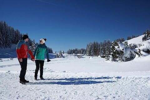 Winterwandern