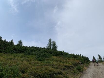 Fotografija s spletne strani Koen De Wit na poti