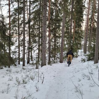 Radfahrer auf einem Pfad im Winterwald
