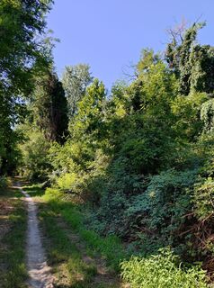 Foto von Roman entlang der Tour