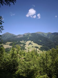 Foto da Hakuna Matata lungo il tour