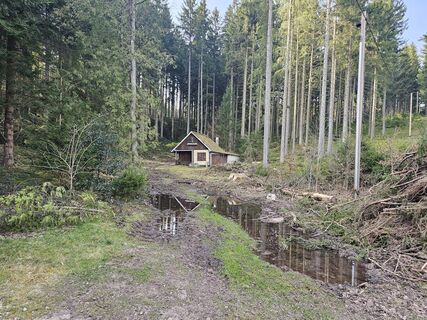 Foto von Bernd Niethammer entlang der Tour