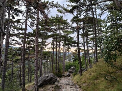 Fotografia z Poschacher na trase