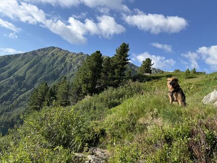 Fotografija s spletne strani Gabriele Egger na poti