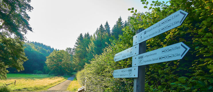 Wanderwegweiser an der Orbquelle
