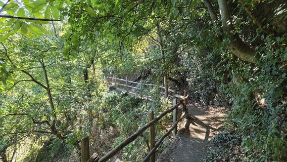 Fotografija s spletne strani W Jude na poti