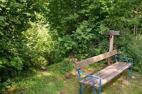 Direkt nach dem Parkplatz links in den Wald abbiegen