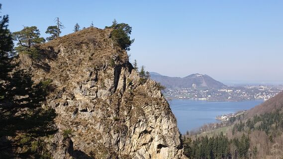 Photo de otmar strasser le long du parcours
