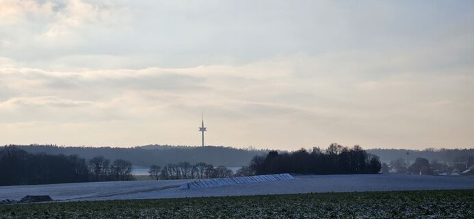 Zdjęcie z garrincha wzdłuż trasy