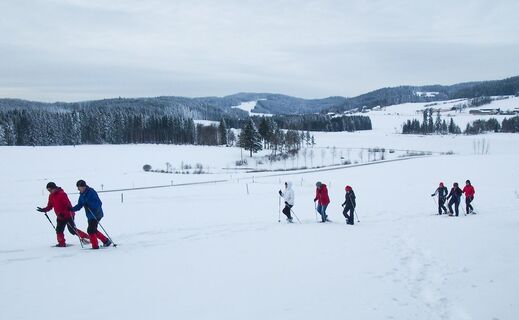 Schneeschuhwanderung Frauenwieserteich