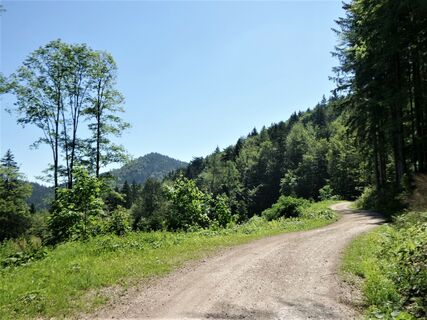 Steinwandgraben - Kleiner Hollerberg
