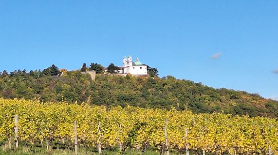 Foto da Regina Fleischmann lungo il tour