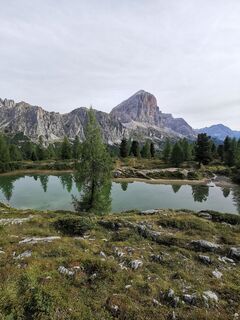 Fotografija s spletne strani Vida Burja na poti