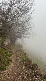 Fotografija s spletne strani Dazza na poti