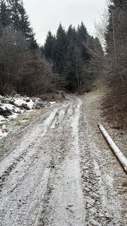 Fotografija s spletne strani Cedric Jetter na poti