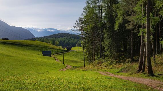 Reith Wiesenweg im Frühling - Weg entlang grüner Wiesen.jpg