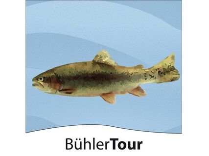 BühlerTour