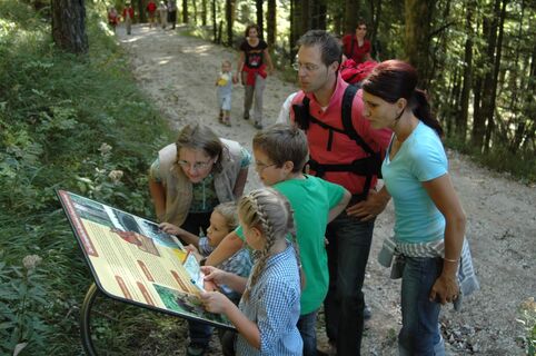 Bärenweg am Lidaun