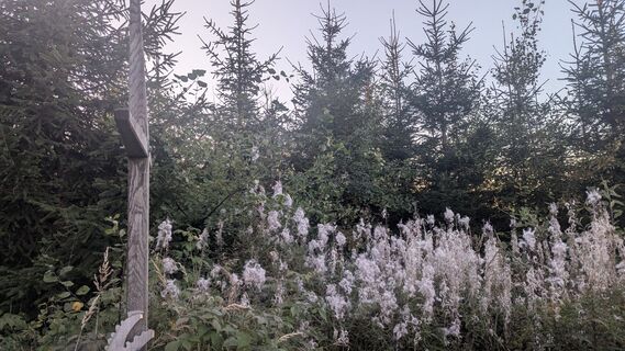Foto von Thomas Heß entlang der Tour