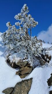 Photo de Urban Wille le long du parcours
