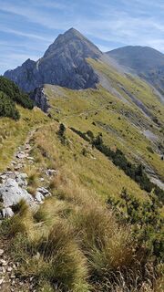 Photo de David Krautzer le long du parcours