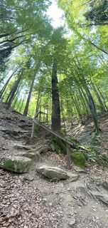 Photo de Susanne Ettl le long du parcours