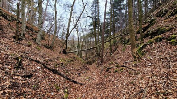 Photo de EP87 le long du parcours