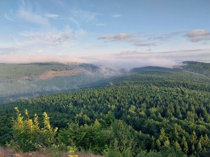 Fotografia z Felix Brandenburger na trase