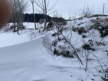 Photo de Traxler R le long du parcours