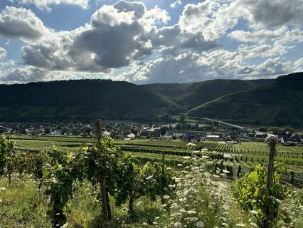 Foto von Florian Portz entlang der Tour