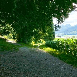 Ausblick - Bienenlehrpfad Mühledorf